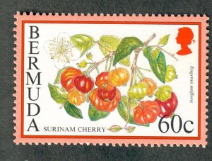 Bermuda #677 MNH single
