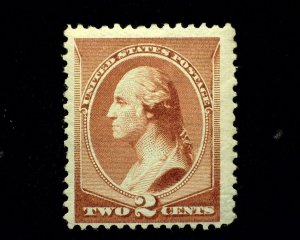 HS&C: Scott #210 Mint Fresh. F NH US Stamp