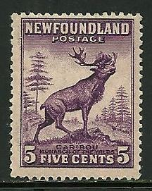 Newfoundland # 191, Mint Never Hinge. Lot 308