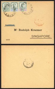 Johore SG39 SG40 and SG41 on Cover to Singapore