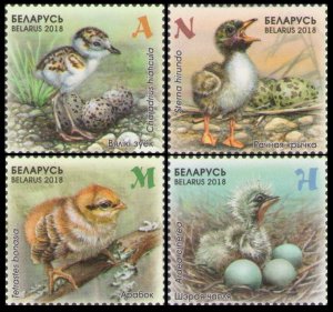 2018 Belarus 1229-1232 Cubs birds