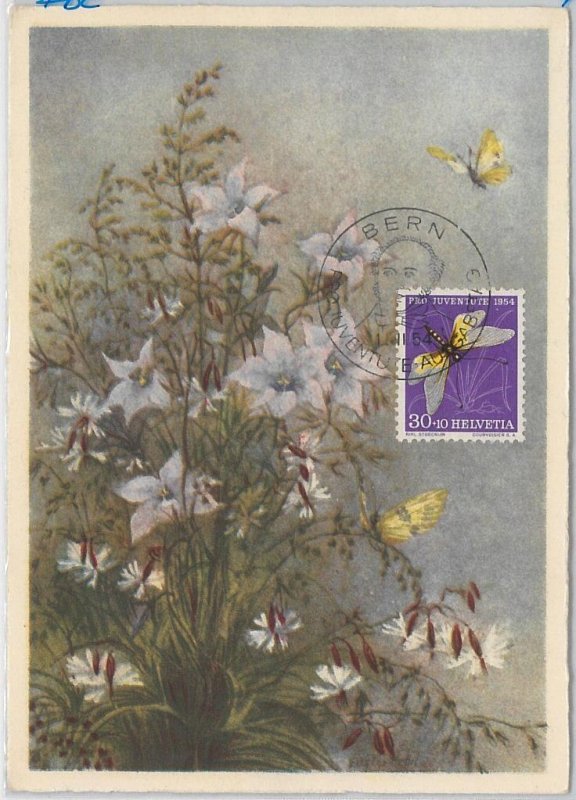 52701 - SWITZERLAND - MAXIMUM CARD - 1954 PRO JUVENTUTE butterflies-