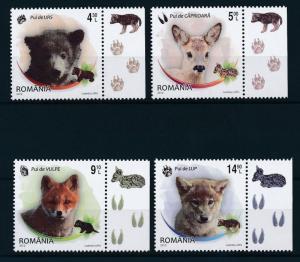 [25591] Romania 2012 Wildlife Young Animals Bear Fox Wolf Deer with label MNH