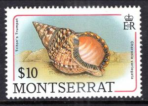 Montserrat 696 Seashell MNH VF