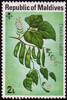 Maldives Islands SG#663 Mint - 1976 2l.  - Vegetables