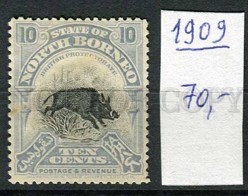 265264 NORTH BORNEO 1909 year stamp wild boar