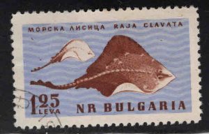 BULGARIA Scott 1169 Used thornback ray stamp