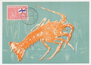 Maximum card Netherlands Antilles 1965 Lobster