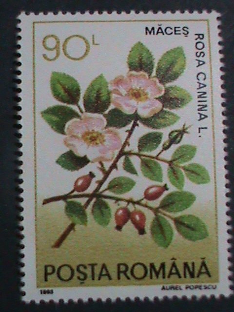 ​ROMANIA-1993-SC#3804-9 MEDICINAL PLANTS & FLOWERS -MNH  SET VERY FINE