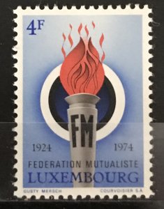 Luxembourg 1974 #541, MNH, CV $.50