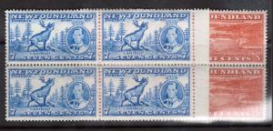 Newfoundland #235 - #236 VF/NH Block Duo