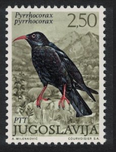 Yugoslavia Red-billed chough Bird 1972 MNH SC#1104 SG#1518