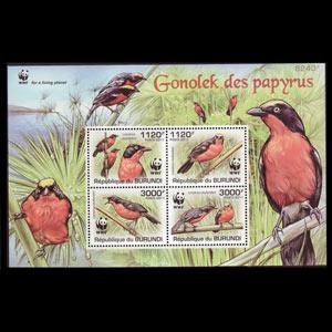 BURUNDI 2011 - Scott# 920a S/S WWF-Birds NH