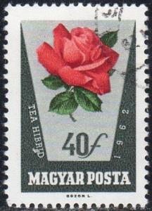 Hungary 1466 - Cto - 40f Hybrid Tea Rose (1962) (1)