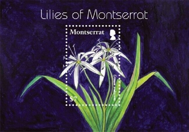 Montserrat MNH S/S Lilies Of Montserrat 2007