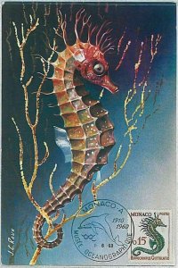 32621 MAXIMUM CARD Maximaphilia: FISH marine life - MONACO 1960 Sea Horse-