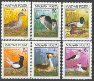 1980 Hungary 3451-3456 Protected birds 5,00 €