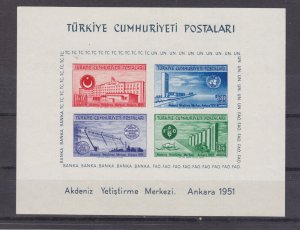 TURKEY 1054a  imperforate souvenir sheet VFNH   8b142