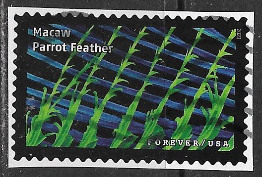 US ~ Scott # 5802b ~ Used on paper ~ Macaw Parrot Feather