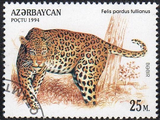 Azerbaijan 467 - Cto - 25m Anatolian Leopard (1994) (cv $0.60) (2)