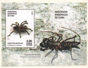 dCuba 2021 Endemic Arachnids Spiders, Spiders, Scorpion, Caracranes 6v + S/S MNH-
