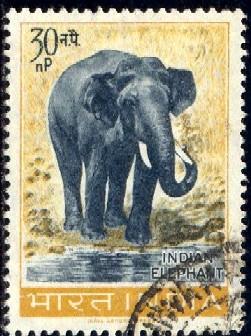 Elephant, India stamp SC#364 used