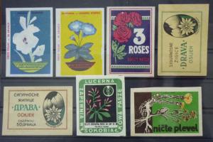 Match Box Labels! flora flower flowers nature drava osijek yugoslavia GJ13