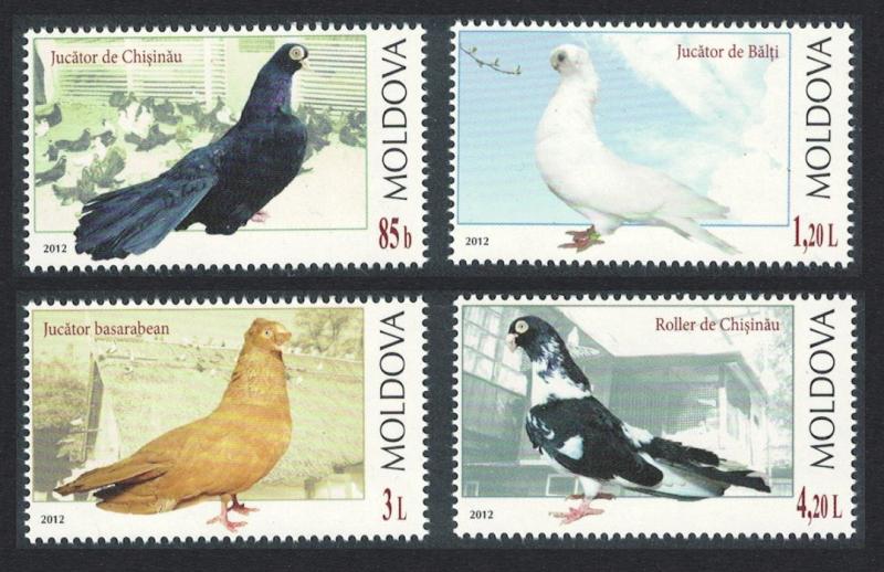 Moldova Breeds of Pigeon Birds 4v MI#799-802