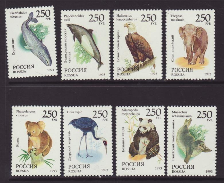 Russia 6184-6191 Animals MNH VF