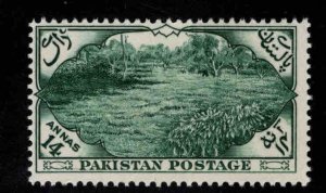 Pakistan Scott 70 MNH** Tea Garden stamp