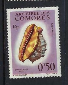 COMORES 48 MOG SEA SHELL A1066-4