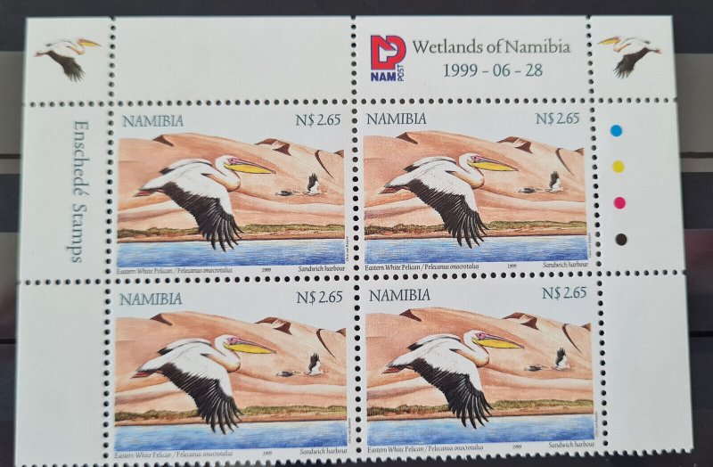 Namibia 1999 Wetland Birds Of Namibia Control Blocks  P.O.F. (B10)