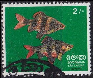 CEYLON SRI LANKA [1972] MiNr 0431 ( O/used ) Fische