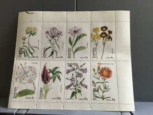 Scotland Holy Island Plants Flowers Lilium Speciosum  MNH stamps R24021