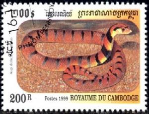 Cape Coral Snake, Aspidelaps Lubricus, Cambodia SC#1860 Used