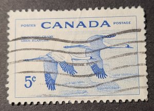 CA S#353 U-VF $0.05 04/04/1955 - Wildlife - Whopping Cranes