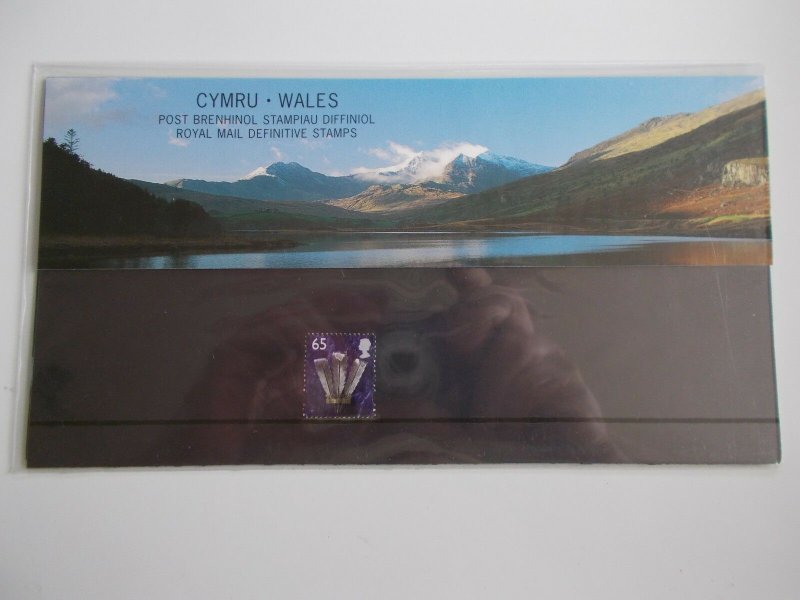 2000 Regional Machin Definitive Wales 65p Presentation Pack no 51 Cat £11