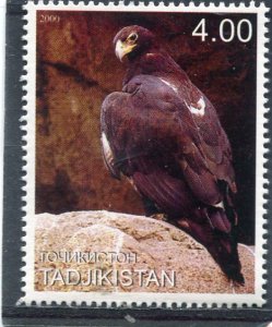 Tajikistan 2000 BIRD EAGLE 1 Stamp Perforated Mint (NH)