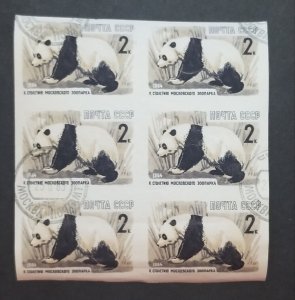 RUSSIA USSR - PANDA BEAR Animal Imperf Stamp Block CTO T4098