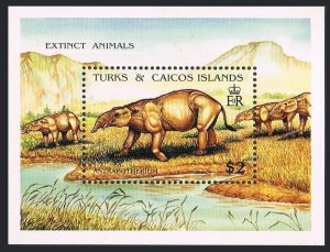 Turks & Caicos 912, MNH. Mi 997 Bl.101. Extinct animals, 1991. Astrapotherium.