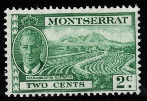 MONTSERRAT SG124 1951 2c GREEN MNH
