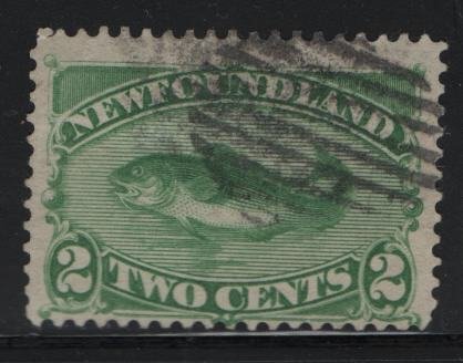 NEWFOUNDLAND, 46, USED, 1880-96, FISH