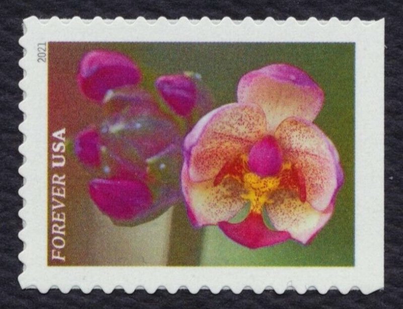 #5558-5567 Garden Beauty, Singles, Mint **ANY 5=FREE SHIPPING**