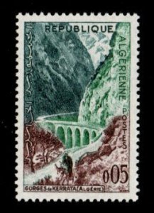 Algeria #291 MLH