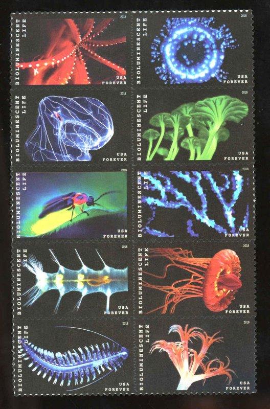 USA 5273a,5264-5273 Mint (NH) Bio Luminescent Life Block of 10 Forever Stamps