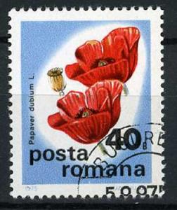 Romania 1975 - Scott 2576 CTO - 40b, Flowers 