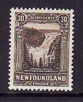 Newfoundland-Sc#182- id12-unused hinged 30c olive brown Grand Falls-1931-