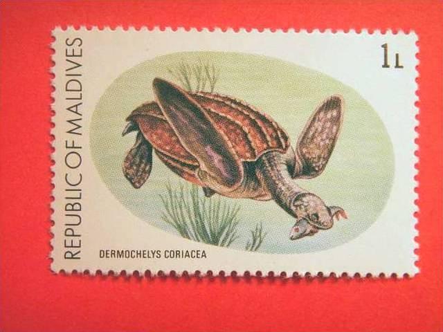 MALDIVES  1980, MNH 1L, Turtle Conservation Campaign.