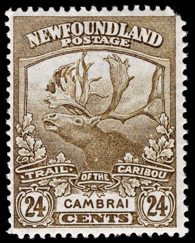4336: Newfoundland SG155 24c Bistre Brown. 1923. Sc#137 Mi120 LMM Mint. C£32
