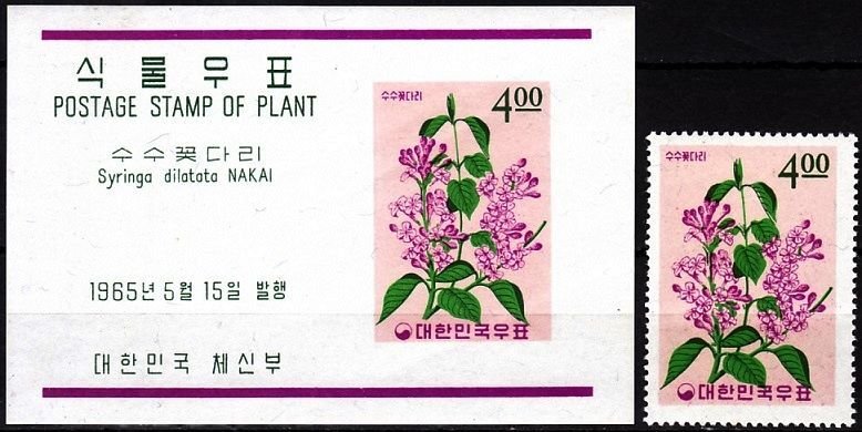 KOREA SOUTH 1965 FLORA Plants (V): Flower Broadleaf Lilac, MNH